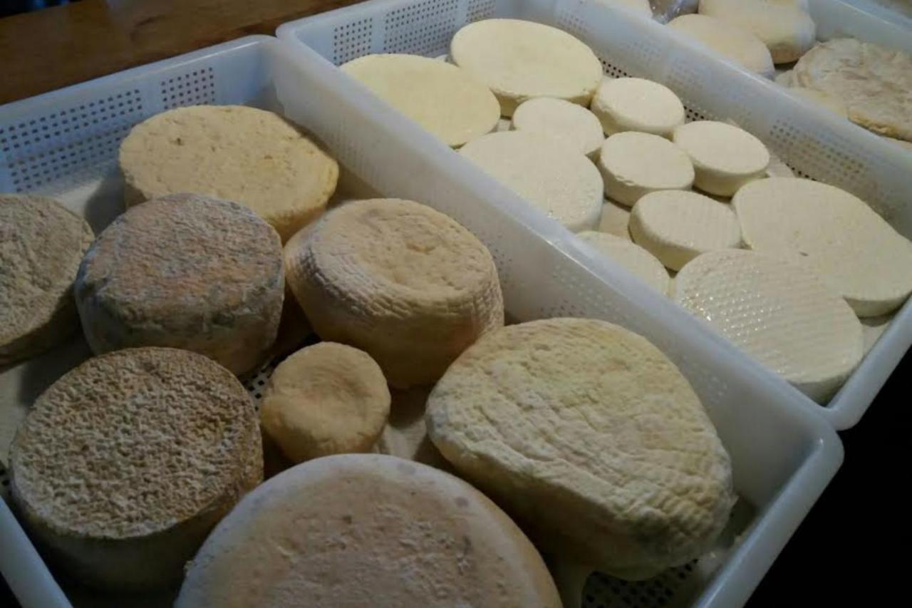 Agriturismo Di Charme E Ristorante Stallato Il Filo Di Paglia Carro Zewnętrze zdjęcie