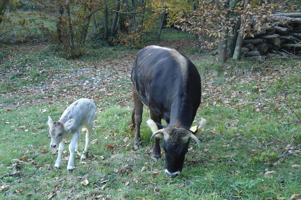 Agriturismo Di Charme E Ristorante Stallato Il Filo Di Paglia Carro Zewnętrze zdjęcie