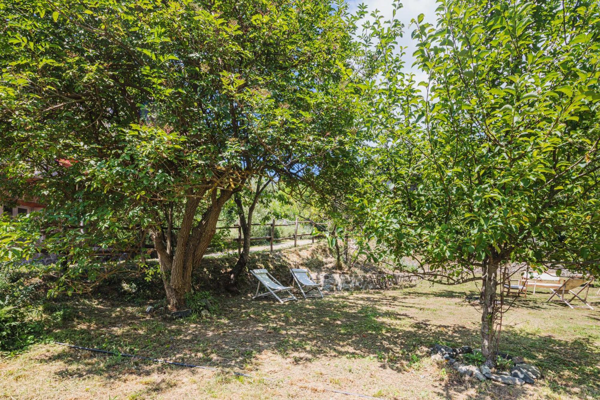 Agriturismo Di Charme E Ristorante Stallato Il Filo Di Paglia Carro Zewnętrze zdjęcie